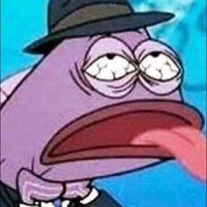 Meet your Posher, Alli